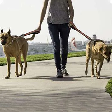 Cymiler Short Dog Leash - 3 Sizes, Padded Handle & Reflective