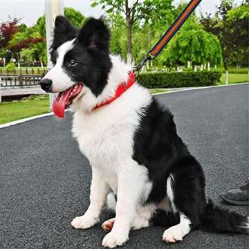 Cymiler Short Dog Leash - 3 Sizes, Padded Handle & Reflective