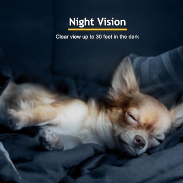 Adorbee Pet Camera: 2K Treat Dispenser and Bark Alert