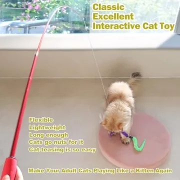 Interactive Cat Toys - Wands & Feather Refills