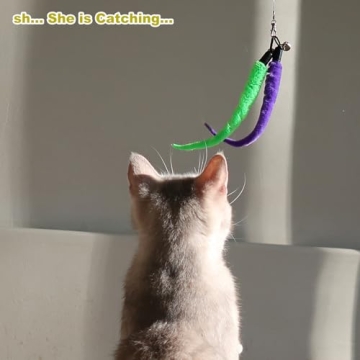 Interactive Cat Toys - Wands & Feather Refills