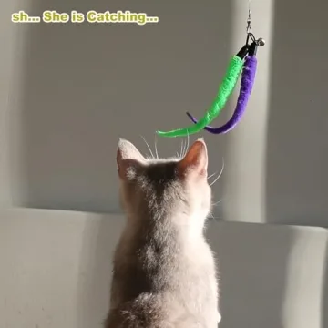 Interactive Cat Toys - Wands & Feather Refills