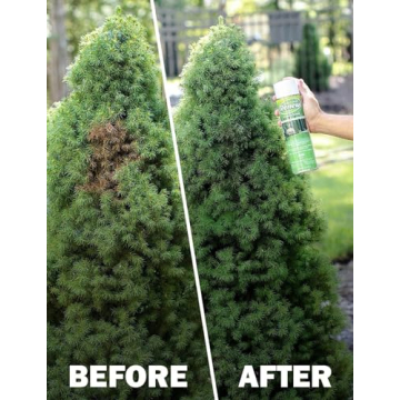 Seymour RENEW Grass and Shrub Marking Paint - 17oz Can