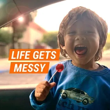 Armor All Multi-Purpose Cleaner Spray for Cars