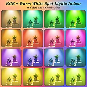 Junview Christmas 10W RGBW Led Uplighting Indoor Spot Lights Indoor with Remote 16 Color Changing Spotlight for Painting Artwork US 2-Plug 6 FT Cord with Floor Foot Switch(2 Pack with Base and Stake)