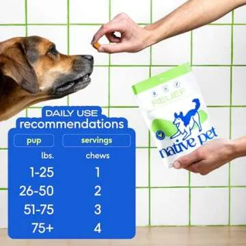 Native Pet Relief – 60 Chews - Anti-Inflammatory for Dogs with Turmeric, Polyphenols, Green Lipped Mussels – Dog Aspirin Alternative - Arthritis & Joint Pain Relief