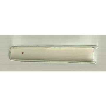 Discover 'Netherland: A Novel' - Journey Through Imagination