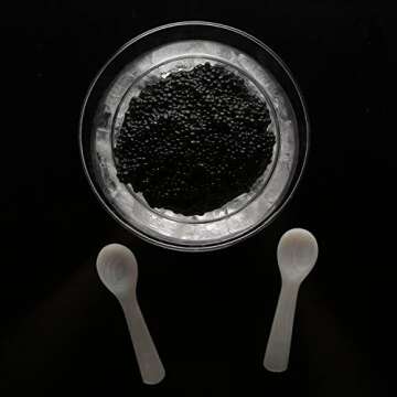 DUEBEL Glass Caviar Chiller Server Set Plus 2 pcs. x Mother of Pearl Caviar Spoon 3.15" – Universal Martini, Wine, Liquor Cocktail Chiller