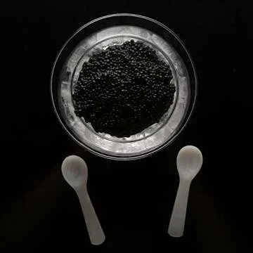 DUEBEL Glass Caviar Chiller Server Set Plus 2 pcs. x Mother of Pearl Caviar Spoon 3.15" – Universal Martini, Wine, Liquor Cocktail Chiller