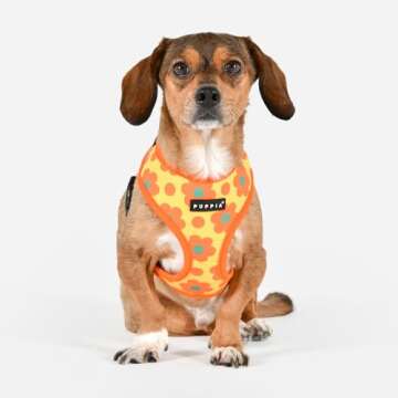Puppia Bacopas Dog Harness A (Over-The-Head) Fashionable Flower Pattern Spring Summer Harness for Small and Medium Dogs, Orange, Small