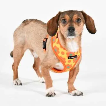 Puppia Bacopas Dog Harness A (Over-The-Head) Fashionable Flower Pattern Spring Summer Harness for Small and Medium Dogs, Orange, Small