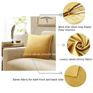 GIGIZAZA Gold Velvet Pillow Covers - Soft Luxury for Your Home