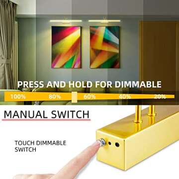 RAIFOOLLY Remote-Controlled Picture Light - 20 inch Battery Powered