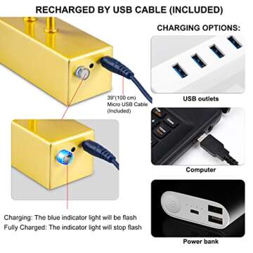 RAIFOOLLY Remote-Controlled Picture Light - 20 inch Battery Powered