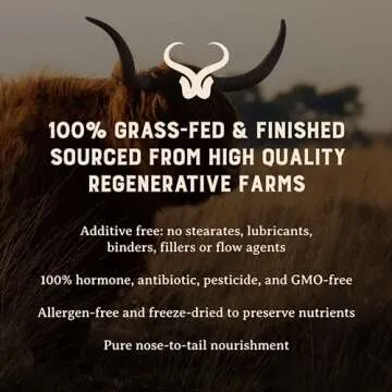 Grass Fed Beef Brain Supplement for Focus and Memory