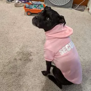 BINGPET Dog Hoodies for Cold Weather Stylish Comfort