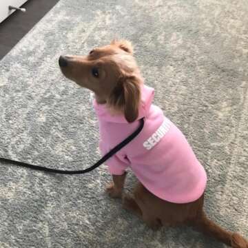 BINGPET Dog Hoodies for Cold Weather Stylish Comfort