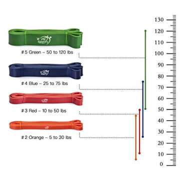 Fit Simplify Pull Up Assist Resistance Bands for Fitness, Physical Therapy, Stretching, Mobility and Exercise