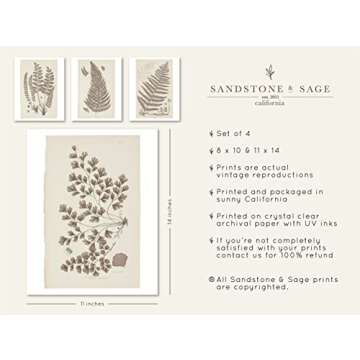 Wall Art Prints Botanical Fern Collection | Vintage Plant Decor for Home Accent | Antique Minimalist Wall Art for Bedroom, Bathroom & Living Room Decor | Set of 4 UNFRAMED Pictures (11 x 14, French