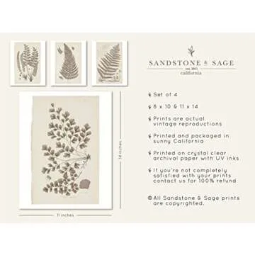 Stunning Botanical Fern Wall Art Prints for Home Decor