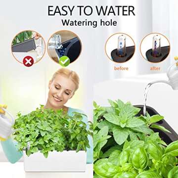 J&C Self Watering Planter for Indoor Plants