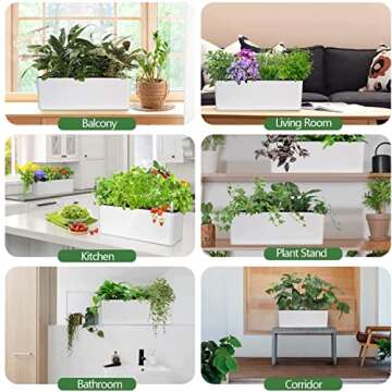J&C Self Watering Planter for Indoor Plants