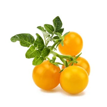 Click and Grow Smart Fruit and Veggie Plant Kit - 9-Pack