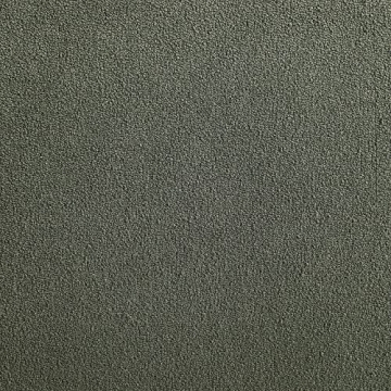 Modern Green Boucle Fabric Accent or Dining Chair