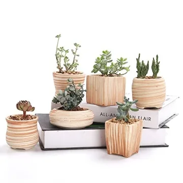 Sun-E 3 Inch Ceramic Wooden Pattern Succulent Plant Pot Set - Perfect for Cactus & Plants
