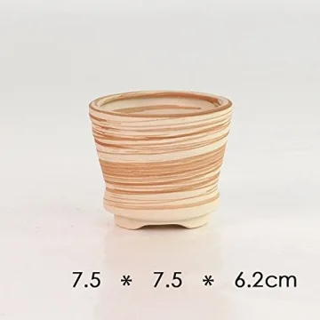 Sun-E Ceramic Wooden Pattern Succulent Plant Pots Set