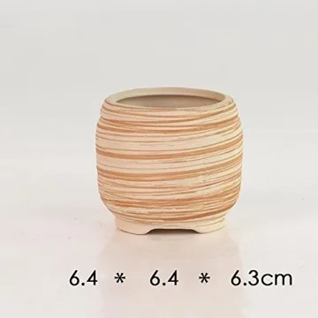 Sun-E Ceramic Wooden Pattern Succulent Plant Pots Set