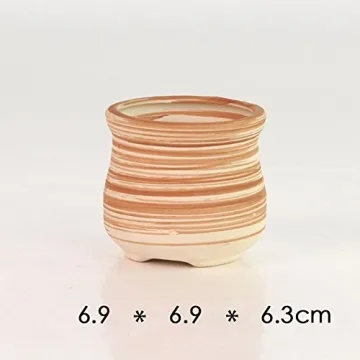 Sun-E Ceramic Wooden Pattern Succulent Plant Pots Set