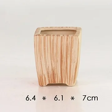 Sun-E Ceramic Wooden Pattern Succulent Plant Pots Set