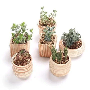 Sun-E Ceramic Wooden Pattern Succulent Plant Pots Set