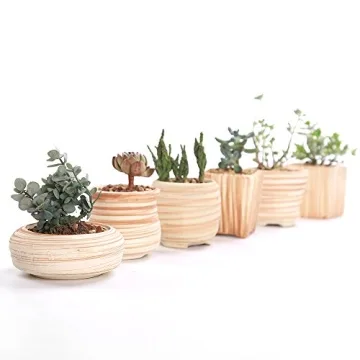 Sun-E Ceramic Wooden Pattern Succulent Plant Pots Set