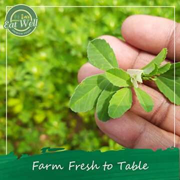 Eat Well Premium Foods Whole Fenugreek Seeds 32 oz, Bulk Fenugreek Methi Seed in Reseable Bag, Fenogreco en Semillas, Can be Ground to Powder or Used as Tea, 100% Natural Fresh Gourmet Spice Ingredients for Cooking