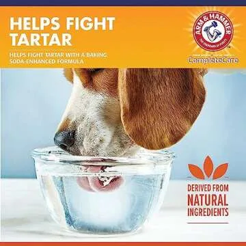 Arm & Hammer Dental Water Additive for Dogs - Fresh Breath