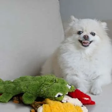 Nocciola 5 PCS No Stuffing Crinkle Dog Squeaky Toys, Durable Dog Toys for Tug of War, Tough Dog Toys for Small Medium Large Dogs & Aggressive Chewers, Puppy Dog Toys to Keep Them Busy