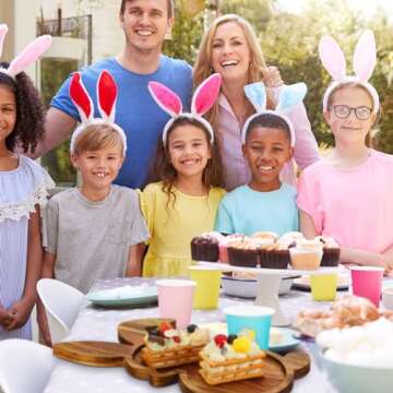 Domensi Bunny Plates for Easter Parties and More