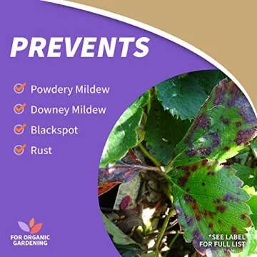 Bonide Captain Jack's Rose Rx 4-in-1 Insect & Disease Control, 32 oz Ready-to-Use Spray Neem Oil for Organic Gardening