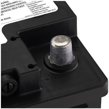 ACDelco Gold 48AGM Battery High Performance AGM 36 Month Warranty