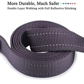 VIVAGLORY Dog Leash with Padded Handle for Safety