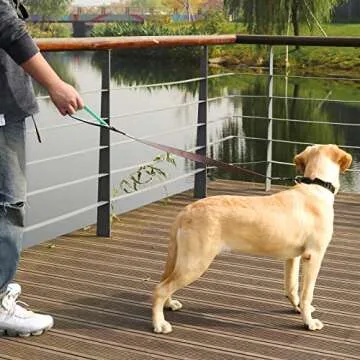 VIVAGLORY Dog Leash with Padded Handle for Safety
