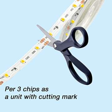 DAYBETTER 32.8ft Dimmable Warm White LED Strip Light