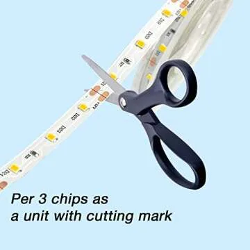 DAYBETTER 32.8ft Dimmable Warm White LED Strip Light