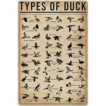 Duck Knowledge Metal Poster - Unique Duck Themed Tin Sign for Home and Decor