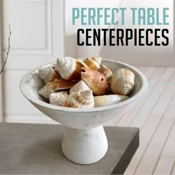 Fairwood Way White Fruit Bowl - 8 Inch Wide White Wooden Footed Bowl – Coastal, Shabby Chic or Farmhouse Centerpiece Pedestal Bowl – White Modern Fruit Bowl on Pedestal