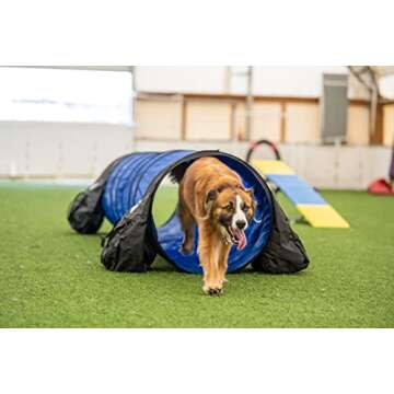 Better Sporting Dogs 10' Agility Tunnel with Sandbags