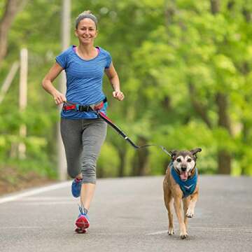 Kurgo Excursion Belt for Hands-Free Dog Running