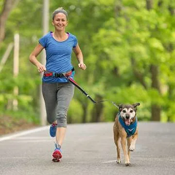 Kurgo Excursion Belt for Hands-Free Dog Running